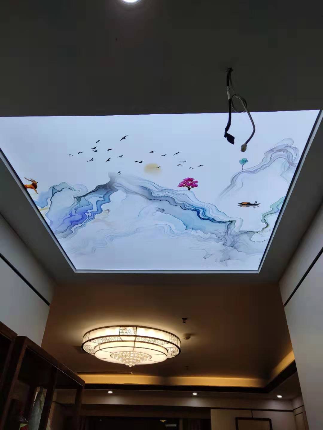 6f8d54b20b3662f5eb37e1781736066