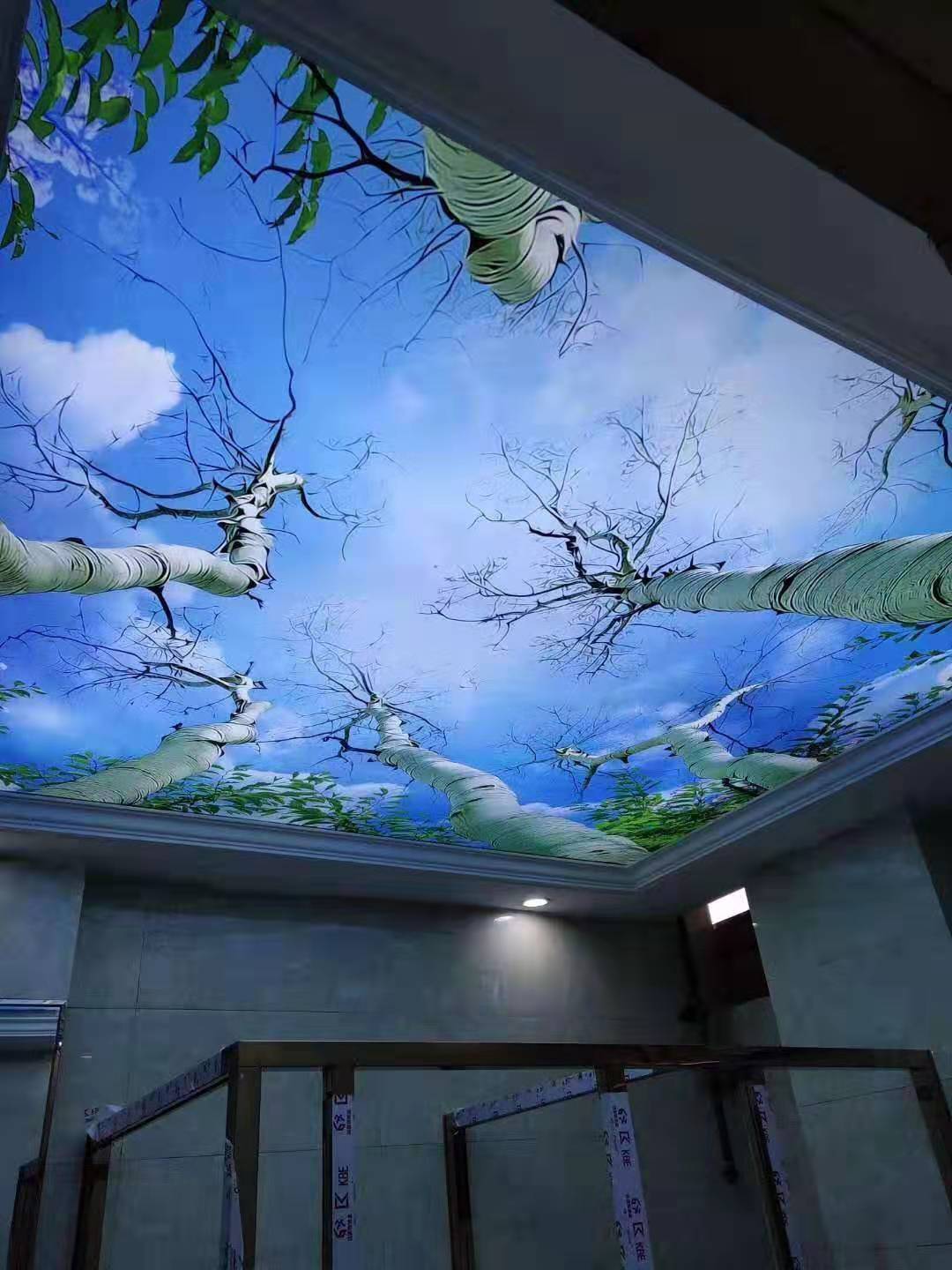 503345cd4ff9669eb293a6ccf65e2ec